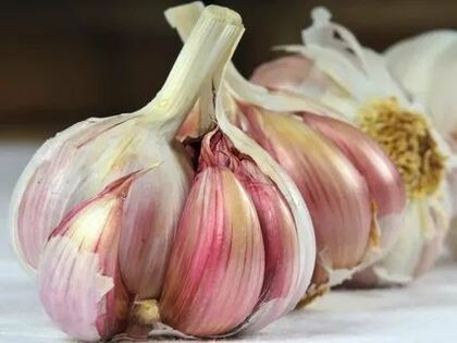 garlic against warts and papillomas